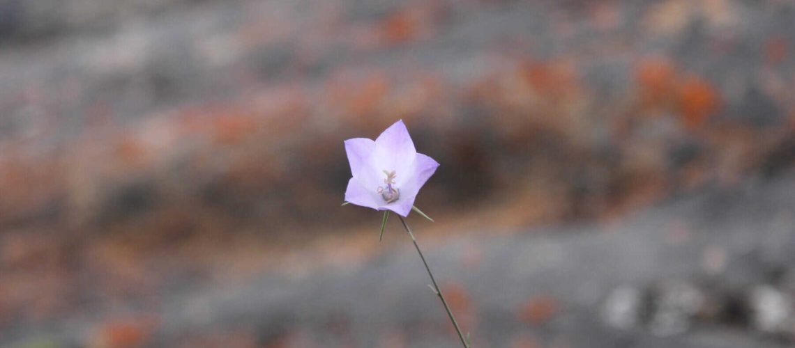 20120720-327-Vacation 20120720-327-Vacation